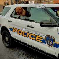 Johnstown Police (PA) (@jtownpd) 's Twitter Profile