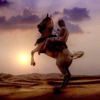 بدران (@ndr1a9) 's Twitter Profile
