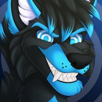Dalton Xander (@daltonxanderdog) 's Twitter Profile Photo Dalton Xander (@daltonxanderdog) 's Twitter Profile Photo