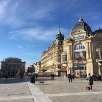 Le Montpelliérain (@mtprain) 's Twitter Profile