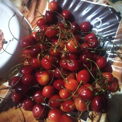 Babloo795's profile picture. Nothing