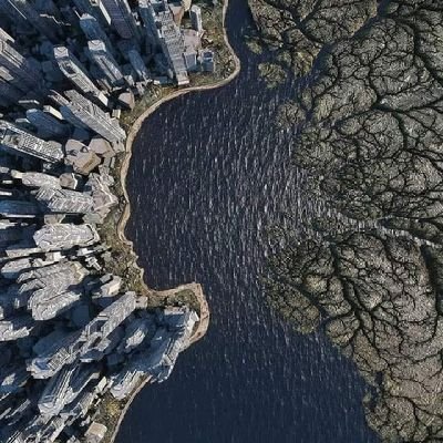 THABANGBHAPPY1's profile picture. 