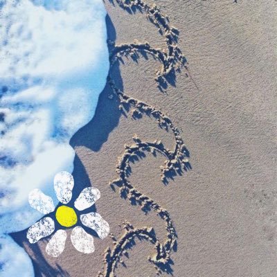 Charl846's profile picture. ✨📸✨