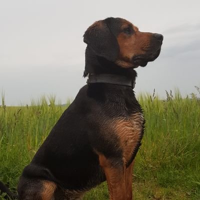 8schneemann81's profile picture. Flächendeckende Heuchelei ist das Kennzeichen von Gesellschaften, welche die Gesinnung über die Vernunft stellen.