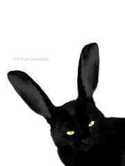 YouCantWin's profile picture. What would your good do if evil didn't exist, and what would the earth look like if all the shadows disappeared? 
— Mikhail Bulgakov