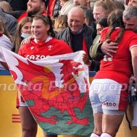 Gwenllian Pyrs (@gpyrs) 's Twitter Profile