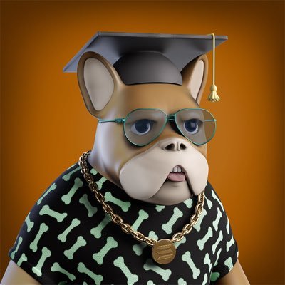Check out @TheFrenchiesNFT, amazing 3D quality NFTs of Frenchies on #Solana blockchain ! Joins-us on Discord now : https://t.co/gqPutGEuvu