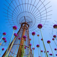 Chester Supertrees (@chesterstrees) 's Twitter Profile Photo Chester Supertrees (@chesterstrees) 's Twitter Profile Photo
