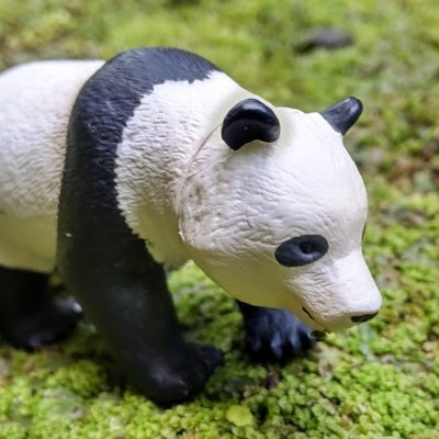 よよぱさんのプロフィール画像