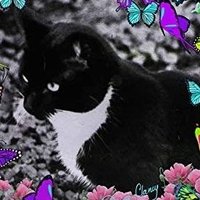 Hopp (@hoppermc5) 's Twitter Profile