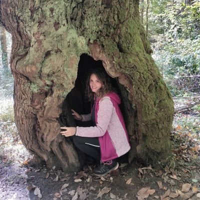 Gerente del Polo Tecnológico y Empresarial de la Biomasa de Asturias (PTBI)