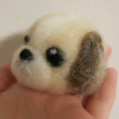 わかめさんのプロフィール画像