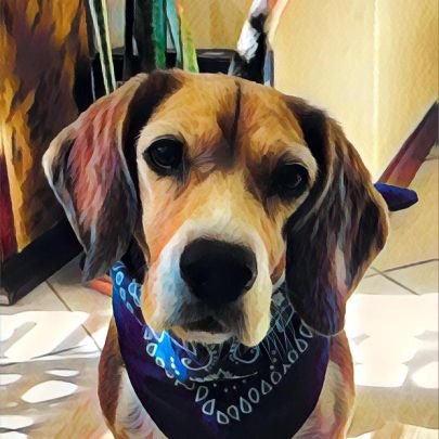 antoniojimenz's profile picture. 