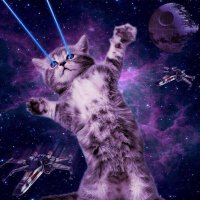 πππππππ πππ (@telecommeow) 's Twitter Profile