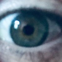 DetachedRetiiina (@dretiiina) 's Twitter Profile