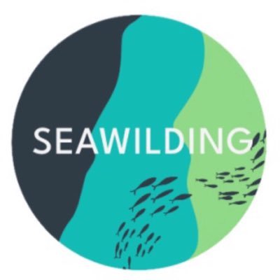 seawilding Profile Picture