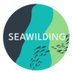 Seawilding - Native Oyster & Seagrass Restoration (@seawilding) Twitter profile photo