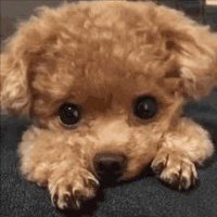 Ayzilo (@ayzilo_o) 's Twitter Profile