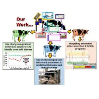 Cornell Dairy Cattle Biology and Management Lab (@cornelldairylab) 's Twitter Profile