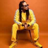 El Maine Lion (@elmainelion) 's Twitter Profile