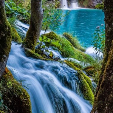 210ladybug's profile picture. 