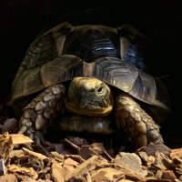 三原 大知 (@mhrd3_51) 's Twitter Profile Photo