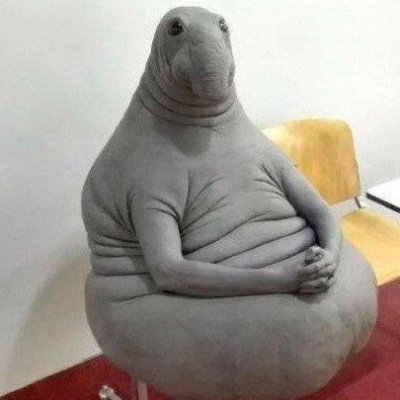 qutaair's profile picture. Tımam