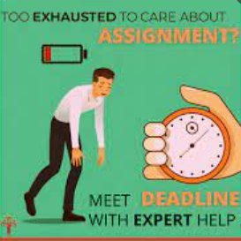 essaywriting001's profile picture. 