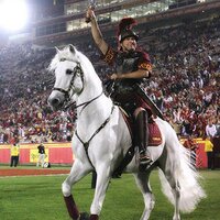 USC MASCOT Traveler (@uscmascot) 's Twitter Profile