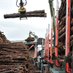 Timber Transport (@timbertransport) Twitter profile photo Timber Transport (@timbertransport) Twitter profile photo