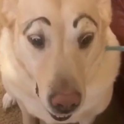 corruptbh's profile picture. 