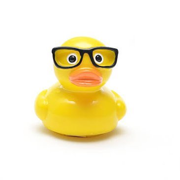 talpadoro's profile picture. 🇮🇹   ⚪⚫ 🤍🖤