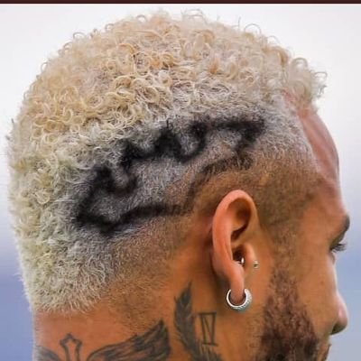 Xie23Rex's profile picture. I follow back