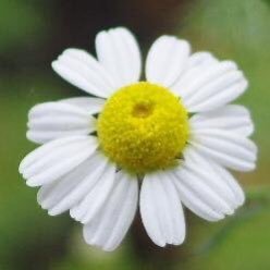 masaki_mono's profile picture. MIU404ロスになってる人。時々スラダン＆リアル🏀(滋賀レイクス箱推し・長崎#99)、SP、図書館戦争から入った末っ子担(岡田一門)のV6箱推し。揺るぎないTOKIO愛。THE ALFEEは'88武道館から。雑食なので、いろんな推しのツイートが混ざります。※俳優さんの画像を無断使用されてる方はブロックします。