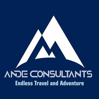 Ande Consultants