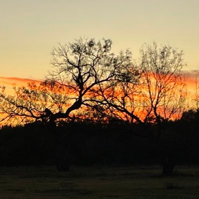 JanisSchweers1's profile picture. 