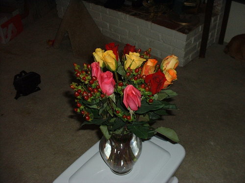 bspires's profile picture. 