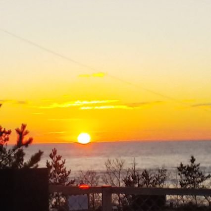 Ru___Ju's profile picture. t-Ace💋💓