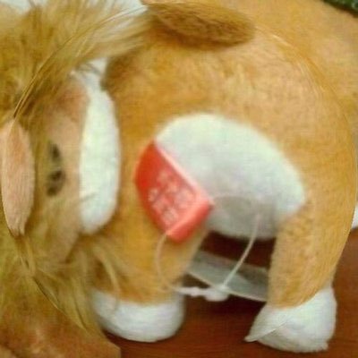 mk_ishi's profile picture. のるレージ名誉駅長皆勤マンです。
