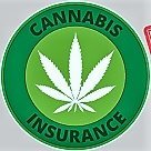 Insurance for the Cannabis Industry

Call or Click https://t.co/h1ydTkv6sH for a Quote at 737 377-1620