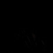 smorokotoy's profile picture. 