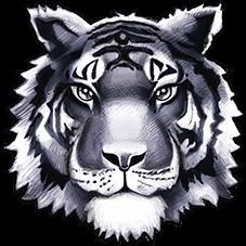 Follow for updates of the Twinsburg RBC Wrestling team. Geaux Tigers!