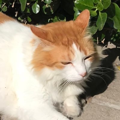 AJMcNi01's profile picture. 