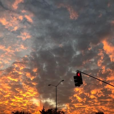 DamianN280618's profile picture. 