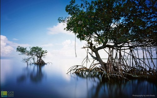 spq01's profile picture. 