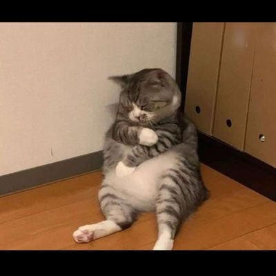 patrickCA14's profile picture. Que palta daba