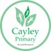 Cayley Primary School (@CayleyPrimarySc) Twitter profile photo