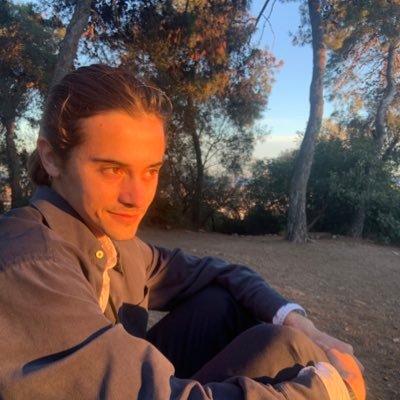 Evertonian, skater, guitarist, chess player, programmer UTFT 🇺🇸 🇫🇷 BLM, LGBTQ+ ally, he/him | 23