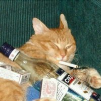 𓂸 𓂸 රධ (@manrayyyyyyy) 's Twitter Profile
