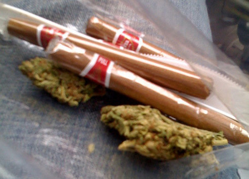 thalonelystoner's profile picture. Nerd. Politico. Equal Rights Supporter.  Chicago sports fan (except the Cubs) and all around decent guy.